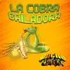 Dj pucho mastermix - La cobra bailadora wepa - Single